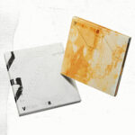 V8 (SEVENTEEN) 1st Mini Album [V8](RATS NEST Ver. / REV Ver.)